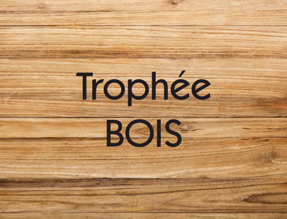 trophée en bois